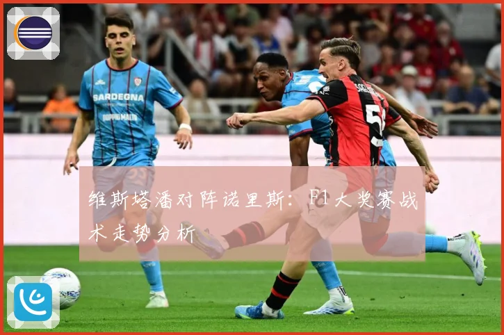 维斯塔潘对阵诺里斯：F1大奖赛战术走势分析