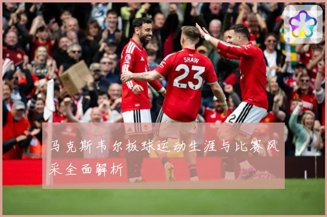 马克斯韦尔板球运动生涯与比赛风采全面解析