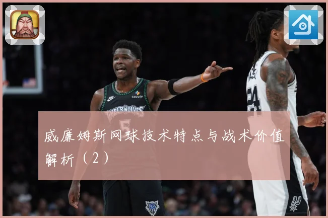 威廉姆斯网球技术特点与战术价值解析（2）