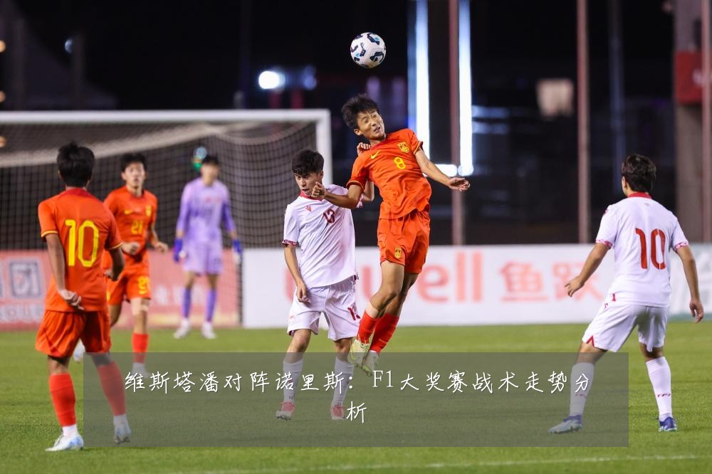 维斯塔潘对阵诺里斯：F1大奖赛战术走势分析