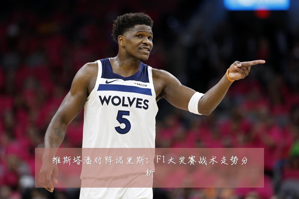 维斯塔潘对阵诺里斯：F1大奖赛战术走势分析