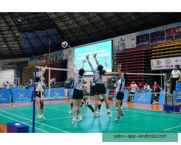 全新体育竞猜盛宴带你体验赛场激情与智慧对决