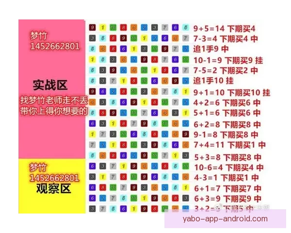 精准体育竞猜投注攻略助你稳健提高胜率技巧分享